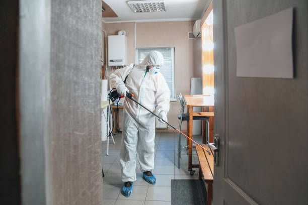 Best Commercial Mold Inspection  in USA